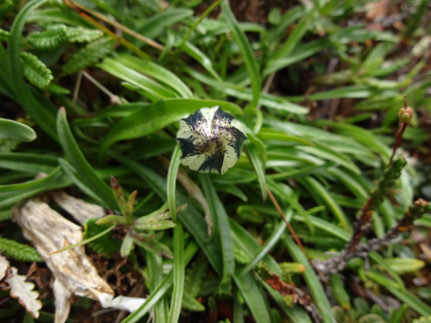 DSC03864.JPG