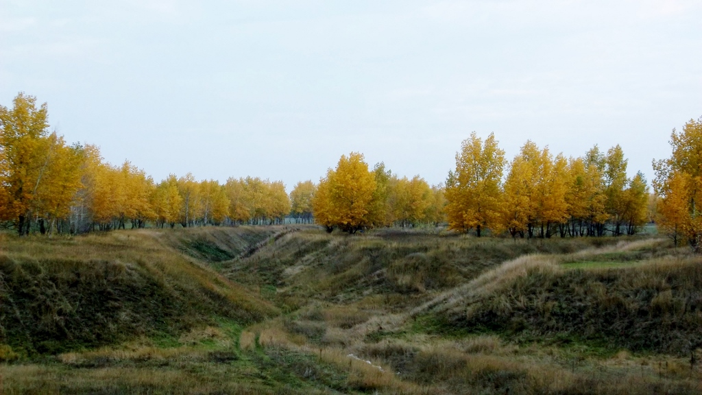DSCF5946 (1024x576).jpg