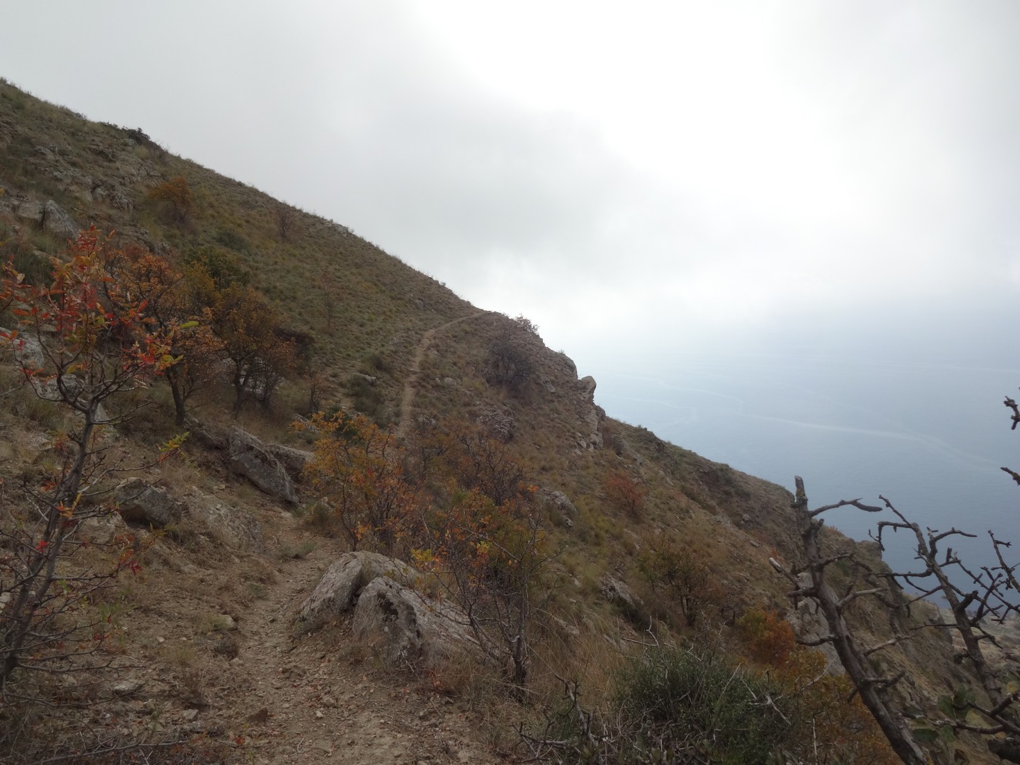 DSC03783.JPG