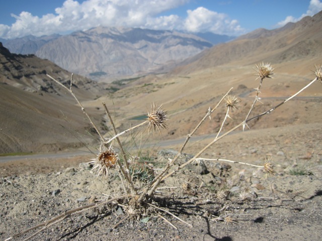 IMG_2082.JPG