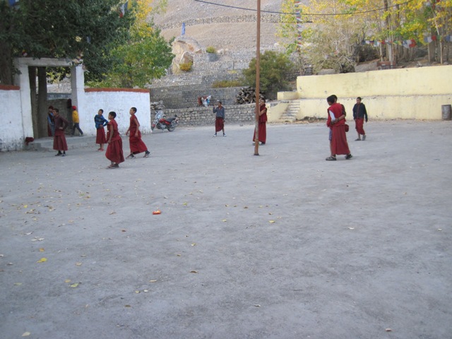 IMG_2904.JPG