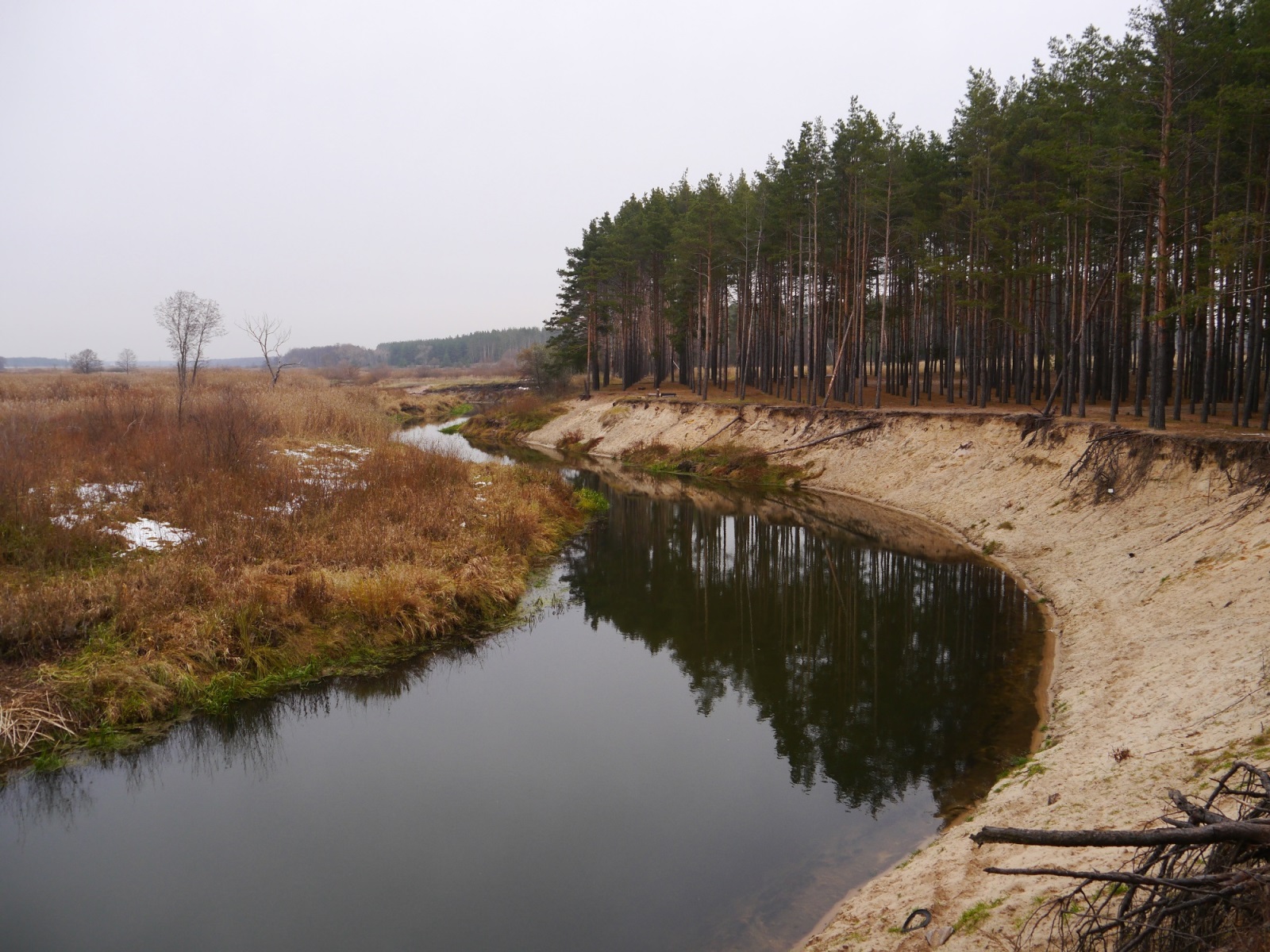 P1290426.JPG