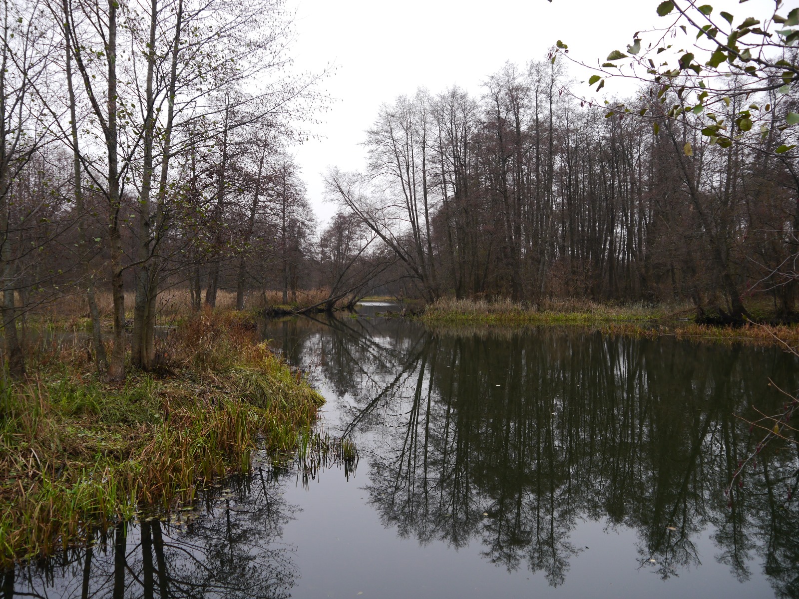 P1290433.JPG
