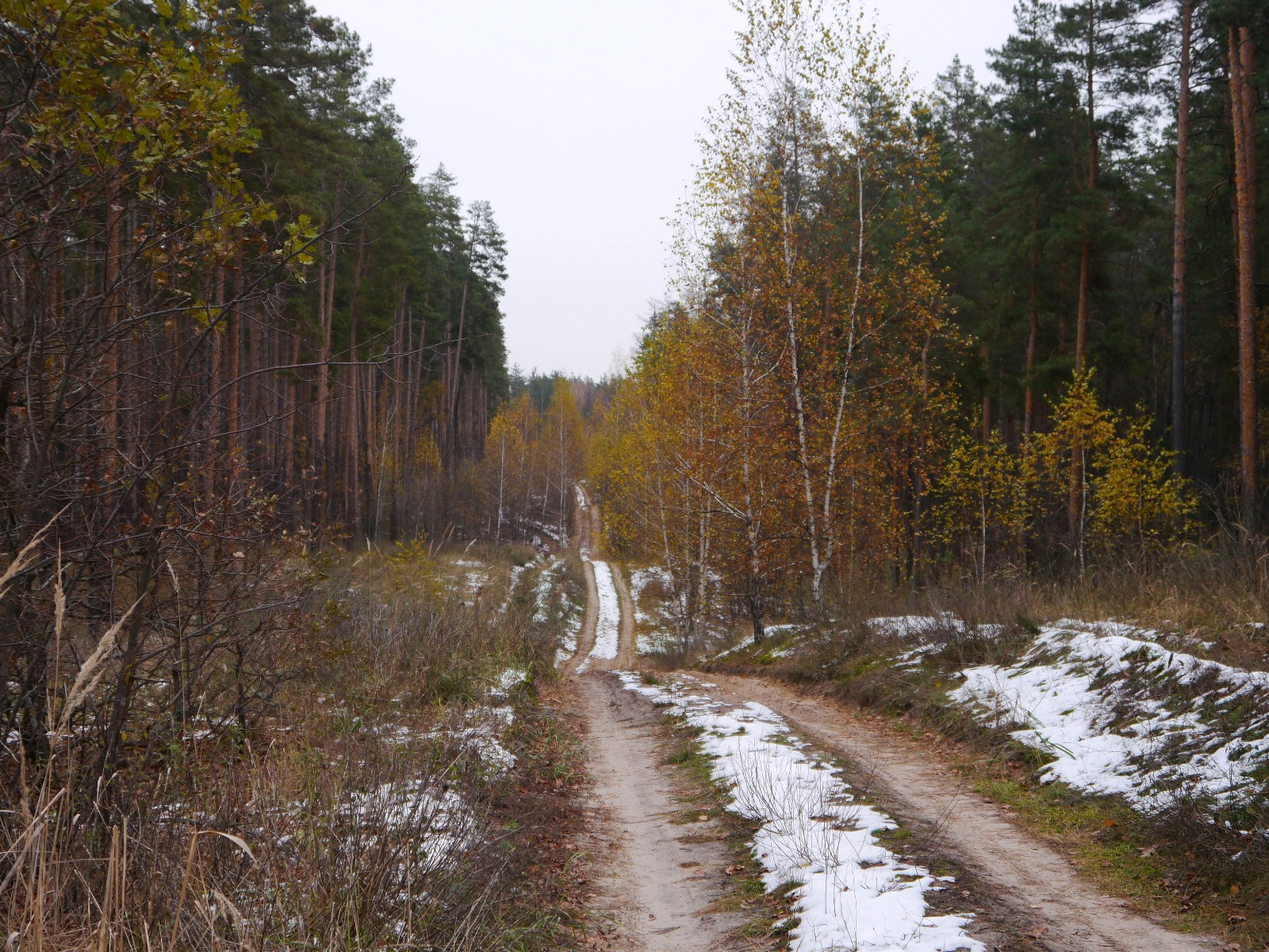 P1290444.JPG