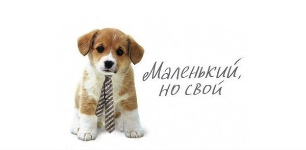 малый бизнес.jpg