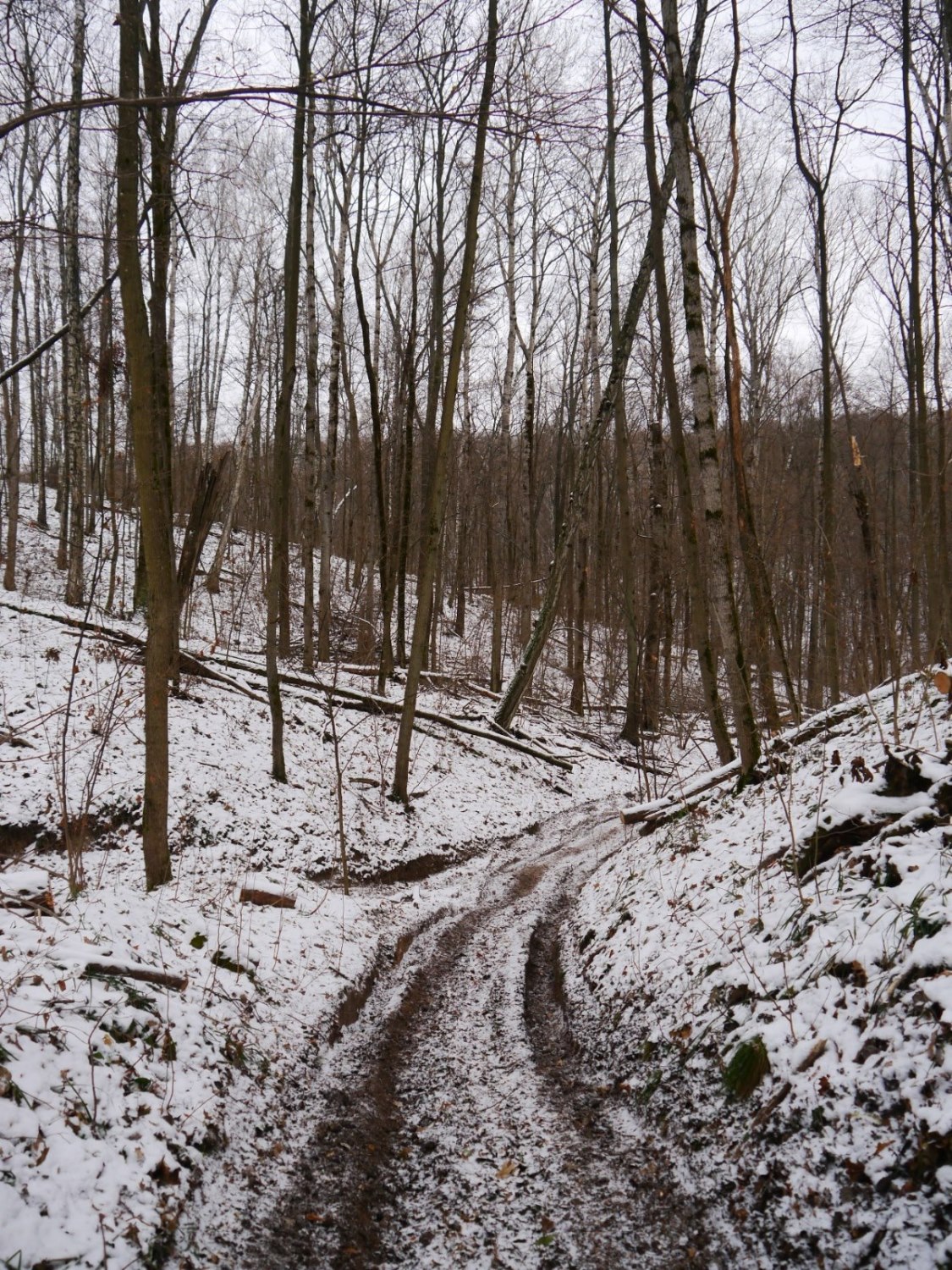 P1290752.JPG