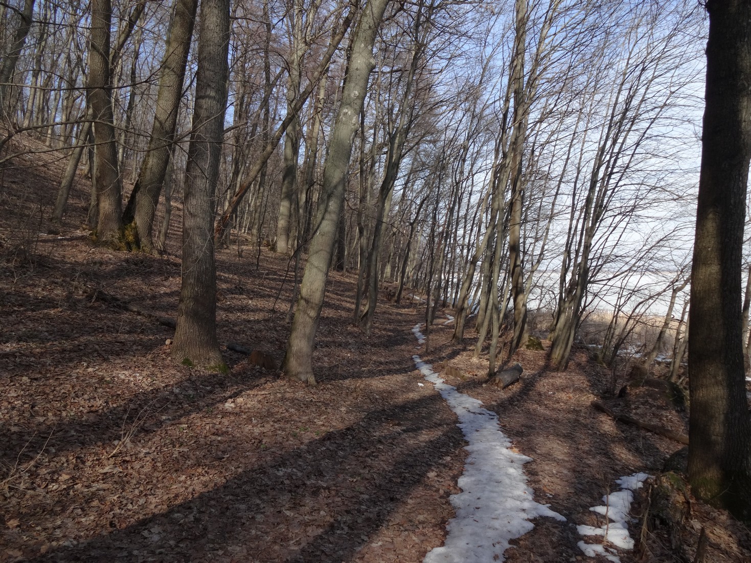DSC04083.JPG
