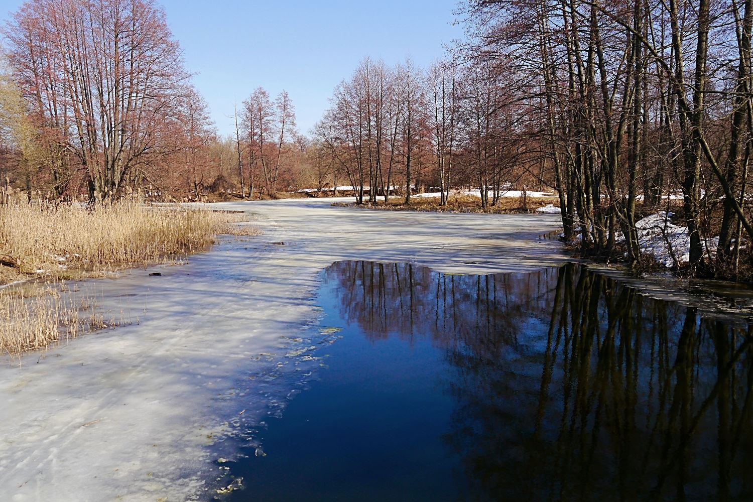 P1310743 - с эффектами.JPG