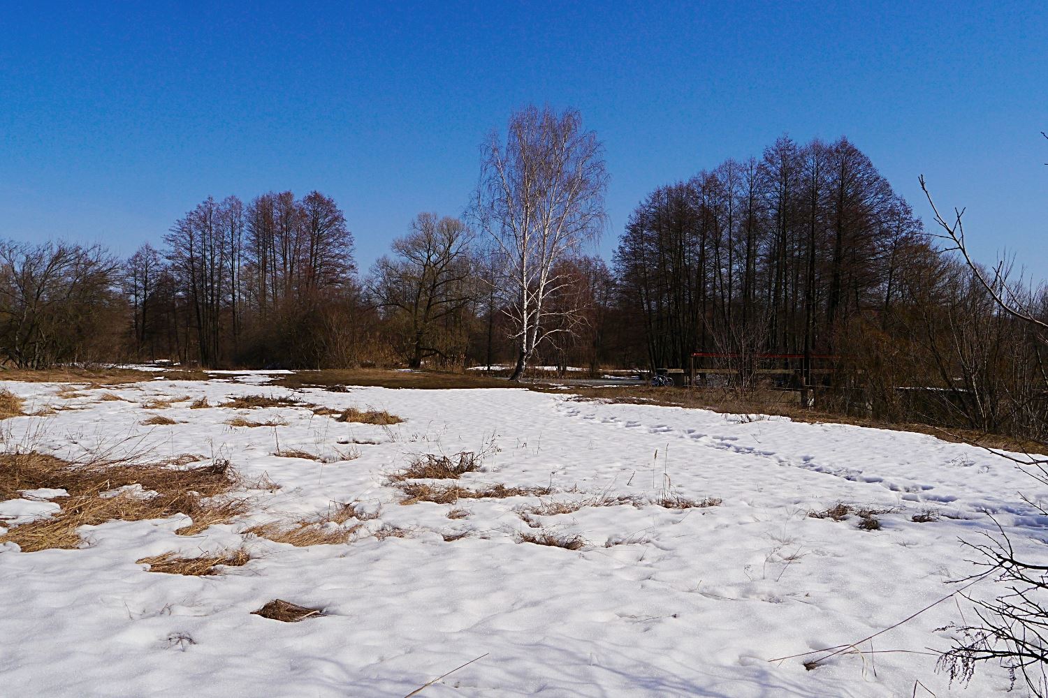 P1310752 - с эффектами.JPG