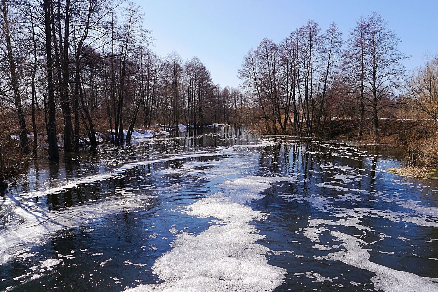 P1310765 - с эффектами.JPG