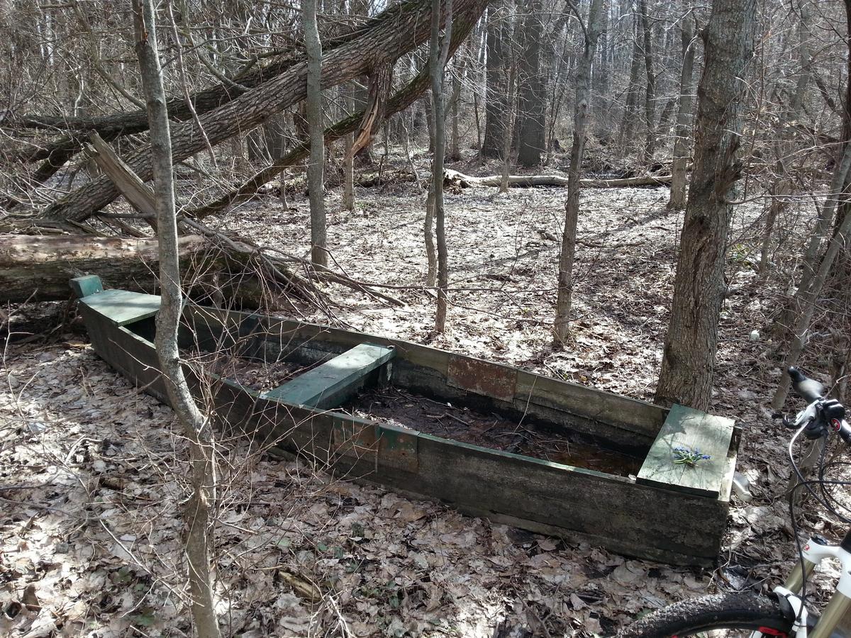 20170326_134110_.jpg