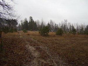 STA72493.jpg