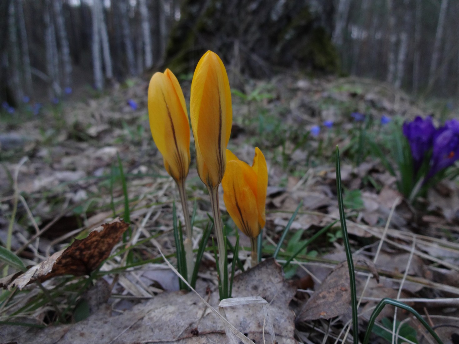 DSC04105.JPG