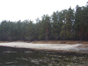 STA72508.jpg