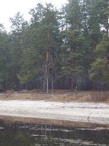 STA72509.jpg