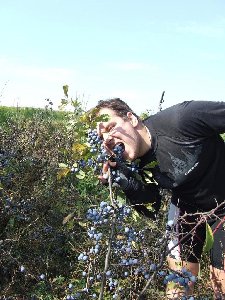 DSCF0060.JPG