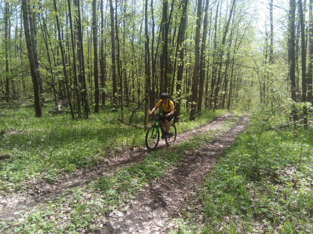 IMG_20170430_125156.jpg