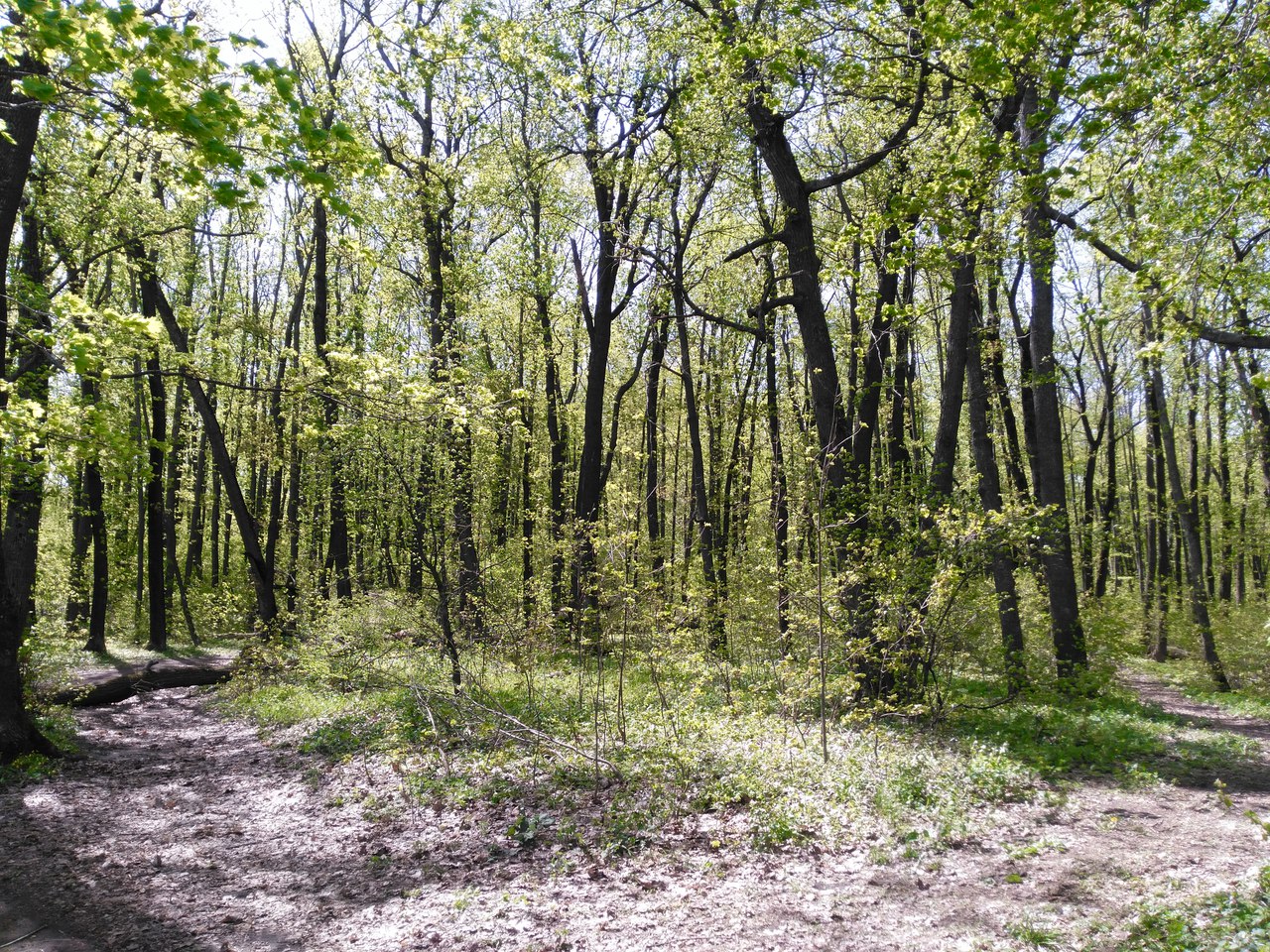 06.jpg