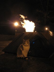 Это чудо грелось у вечного огня!