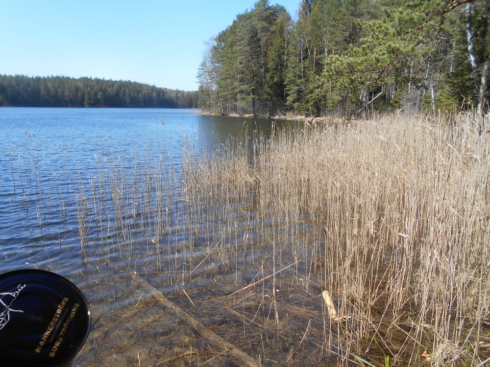 11lake илжикис.jpg