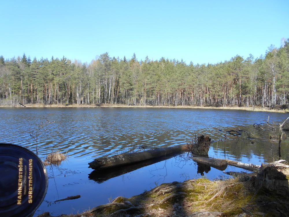 21lake самаукос.jpg