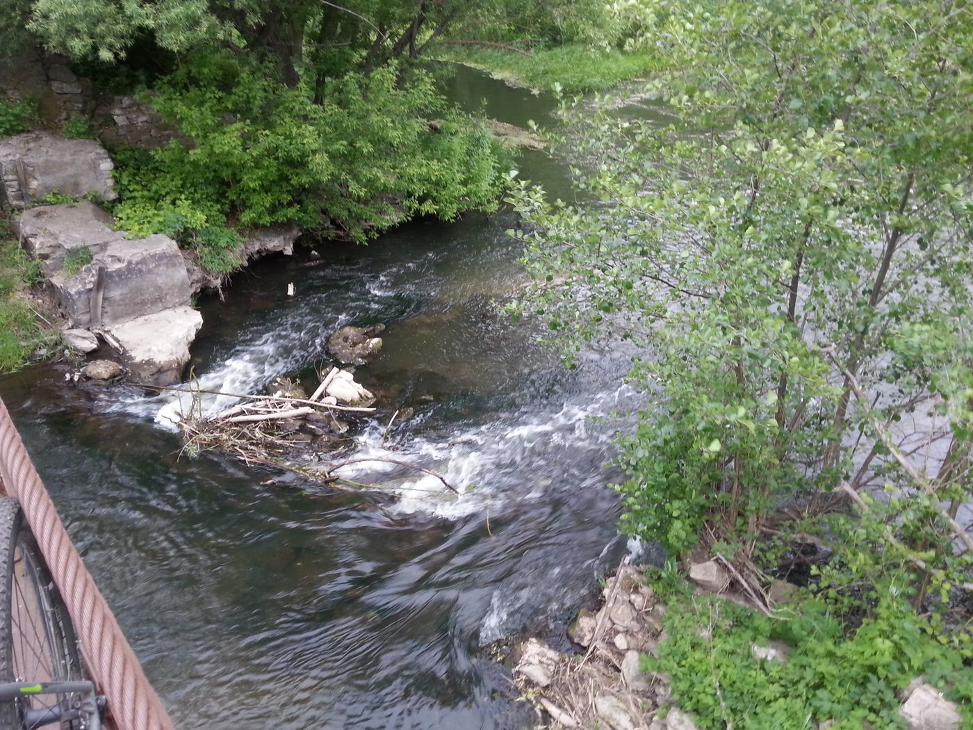 20170528_152126_.jpg
