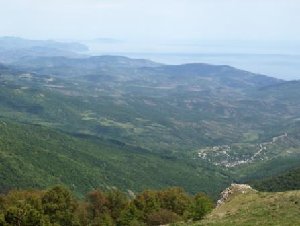 2008(1) 109.jpg