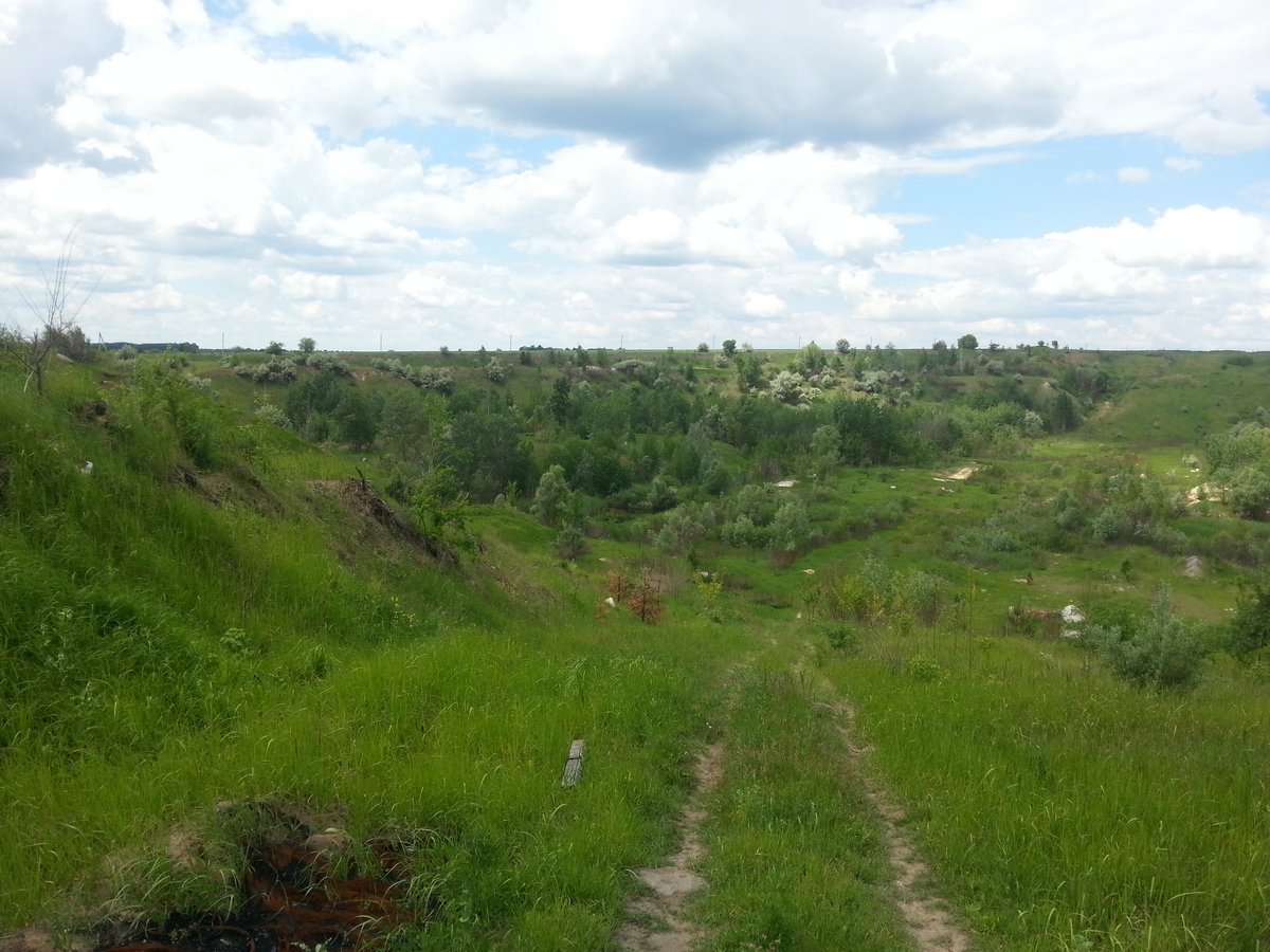 20170618_123724_.jpg