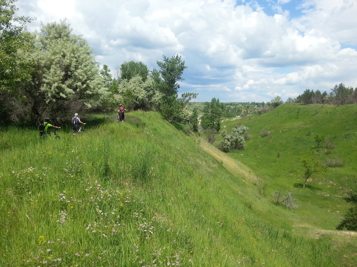 20170618_125642_.jpg