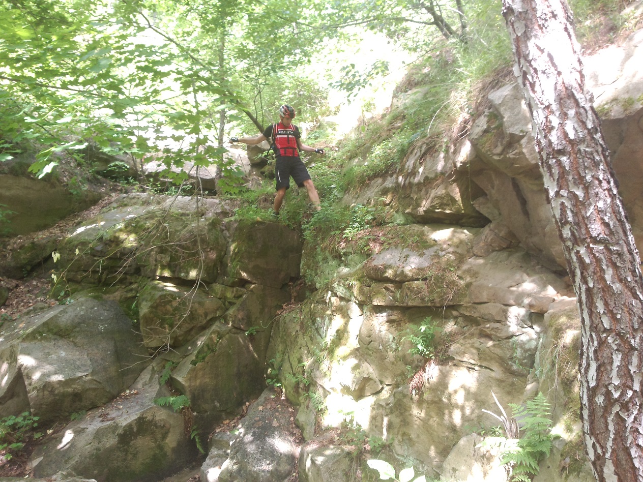 P70618-143739.jpg