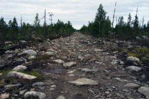 Дорога в Мурманской области