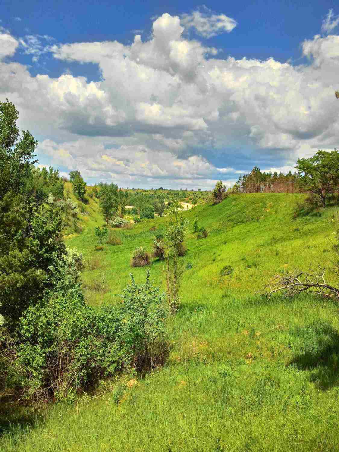 Стрелица 1220b.jpg