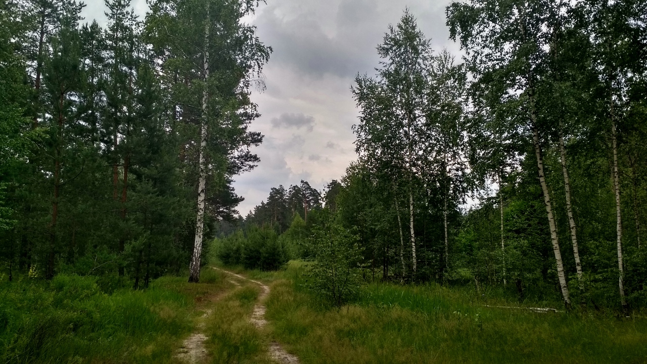 IMG_20170627_132806_HDR (1280x720).jpg