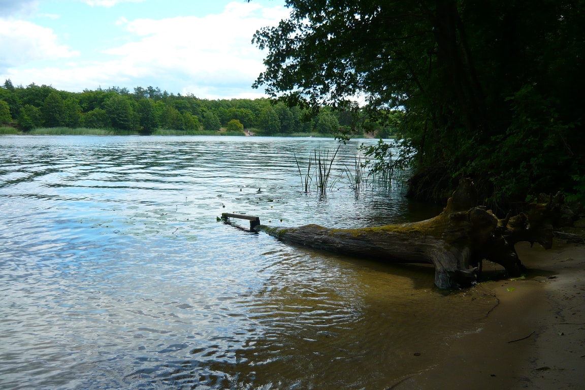 P1150733.JPG