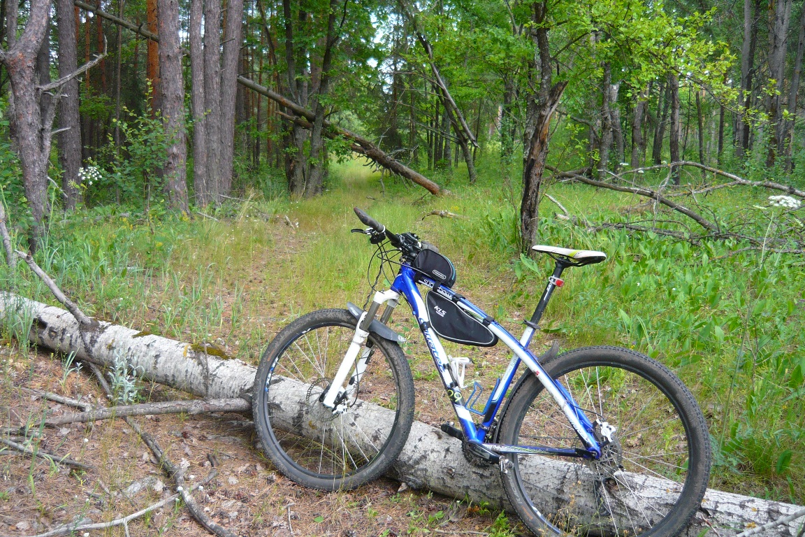 P1150751.JPG