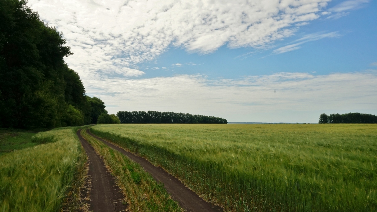 DSC03197 (1280x719).jpg