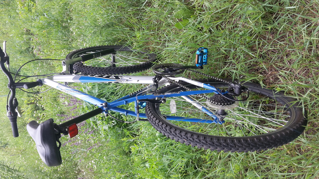 20170716_142754.jpg