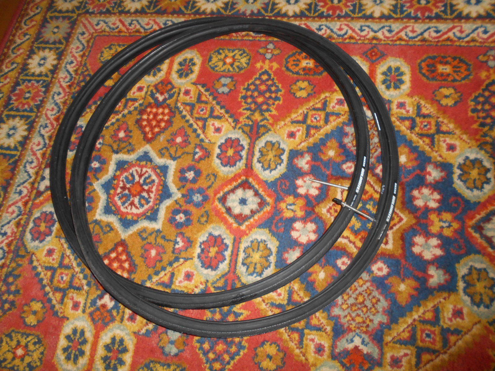 DSCN0313.JPG