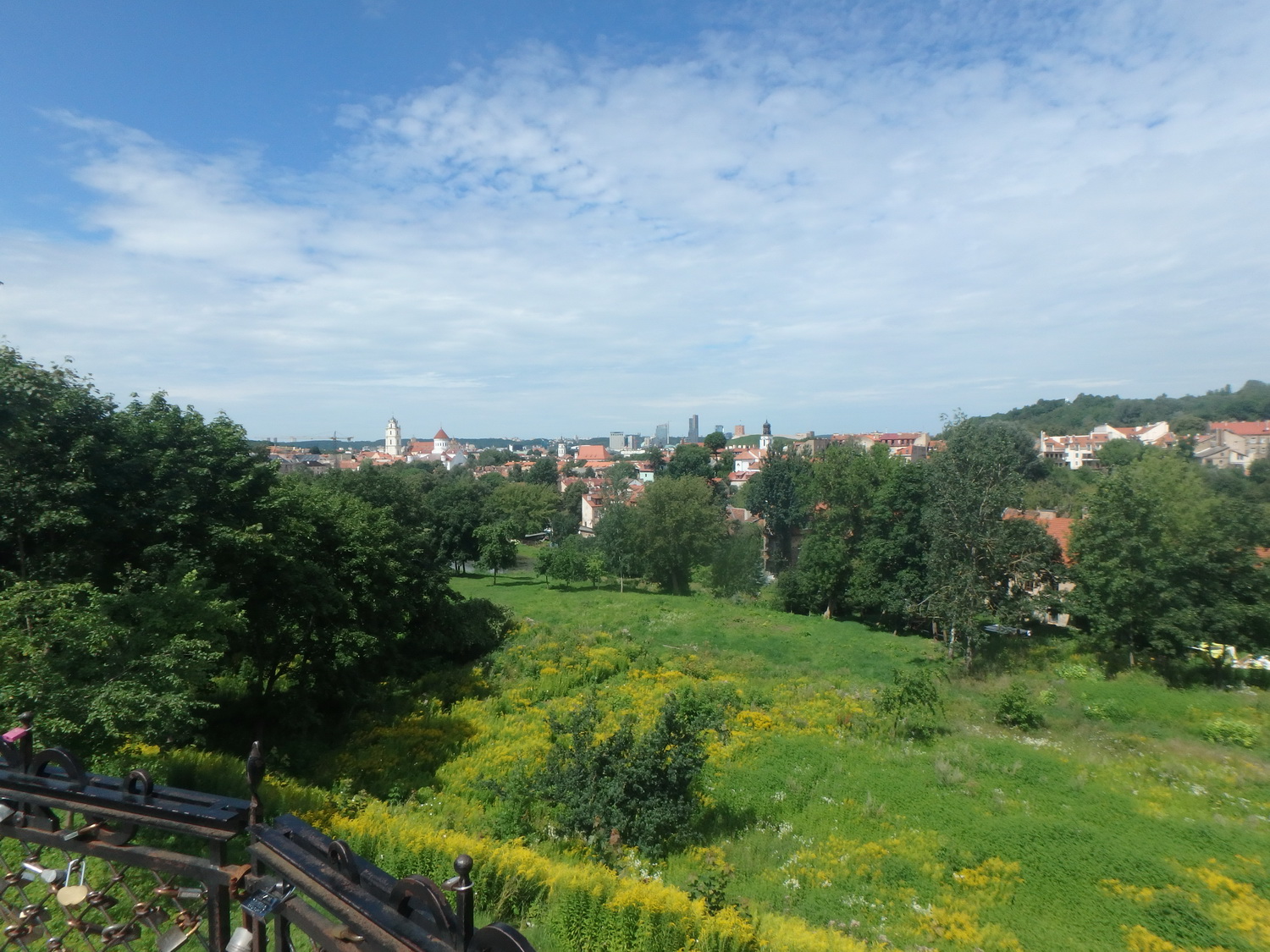 11Vilnius view.jpg