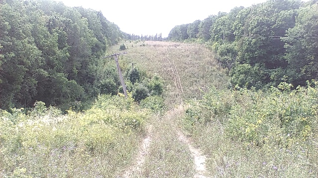 tmp-cam--2123250333.jpg