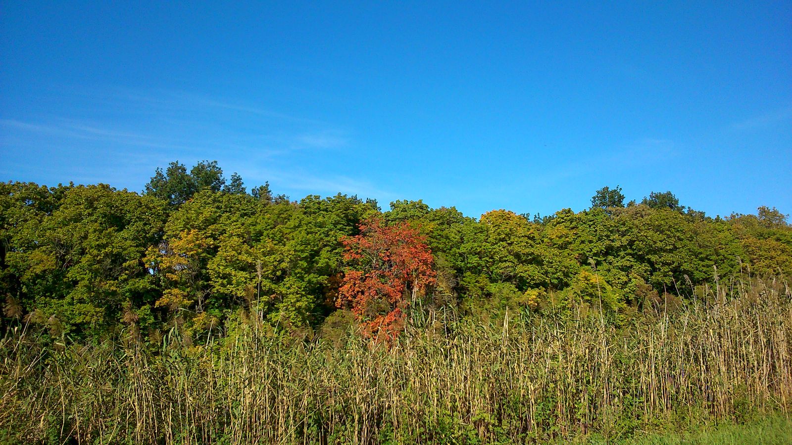 DSC_0003.JPG