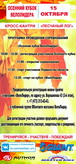flaer 1 i 2 storona v papke ishodnika1_298x639.jpg