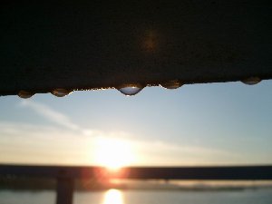 Resize of S7300225.JPG