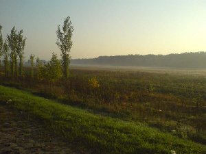 _DSC00222.jpg