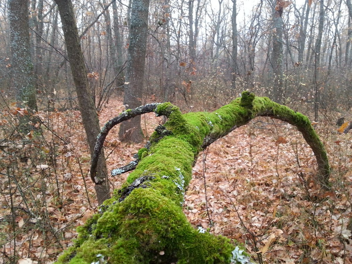 20171028_105936_.jpg
