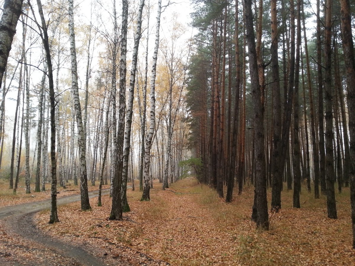20171028_110314_.jpg