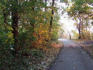 DSCF0163.JPG
