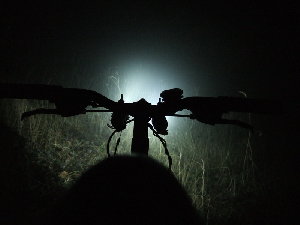 13_ночная.JPG