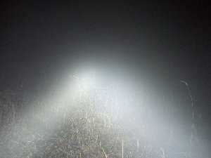 14_ночная.JPG