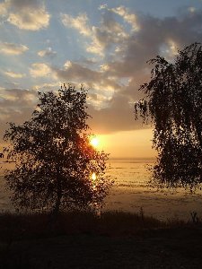 DSCF0187.JPG